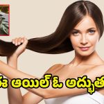 Fast Hair Growth Oil: ఈ ఒక్క నూనెకు ఇంత పవరా..? ఇంట్లోనే తయారుచేసే ఈ ఆయిల్‌ను జుట్టుకు రాస్తే మ్యాజిక్కే..!