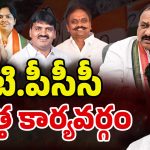 TPCC Executive Committee: 69 మందితో.. పీసీసీ కొత్త కార్యవర్గం లిస్ట్ ఇదే!