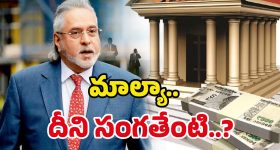 Vijay Mallya: 6 వేల కోట్ల అప్పుకు 14 వేల కోట్లు కట్టేశాడా? మాల్యా ఇండియా వస్తే.. జరగబోయేది ఇదే!