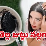 White Hair Problem: తెల్లజుట్టు నివారణకు.. పర్మినెంట్ సొల్యూషన్