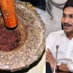 Gorantla Comedy: వాళ్లందరినీ రోట్లో వేసి దంచి తీస్తే.. వైఎస్ జగన్, హతవిధీ!