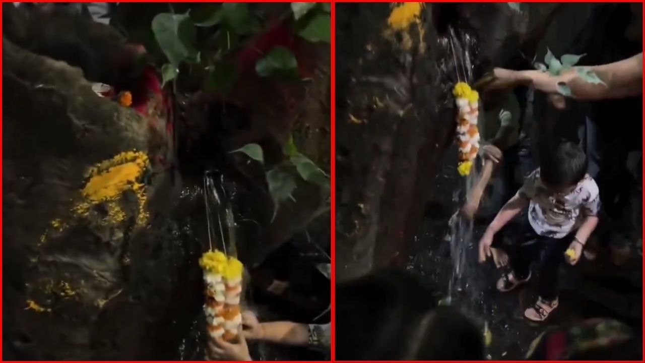 Viral Video : చెట్టు నుంచి నీళ్లు.. దేవుడి మహిమేనా? వీడియో వైరల్