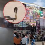 Hyderabad : సంధ్య థియేటర్‌లో పాము కలకలం.. వీడియో వైరల్..