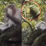 Viral Video : రూ.500 నోట్ల కట్టను ఎత్తుకెళ్లిన కోతి.. వీడియో వైరల్