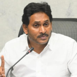 YS Jagan: అది పుష్ప డైలాగ్ సరే.. మరి వీటి సంగతేంటి? టీడీపీ స్ట్రైట్ క్వశ్చన్