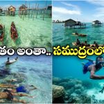 Viral News: నీటిలో పుట్టి, అలలపై జీవిస్తూ, సముద్రంలోనే చనిపోయే ఈ మనుషుల గురించి మీకు తెలుసా?