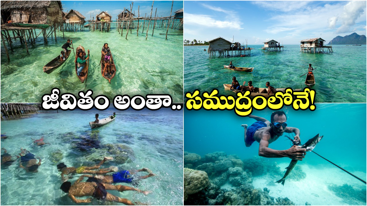 Viral News: నీటిలో పుట్టి, అలలపై జీవిస్తూ, సముద్రంలోనే చనిపోయే ఈ మనుషుల గురించి మీకు తెలుసా?