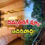 Visakha Tour: విశాఖ ట్రిప్ ప్లాన్ చేస్తున్నారా? ఈ హోటల్ గురించి తప్పక తెలుసుకోండి!
