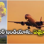 Air India Flight: బద్దలైన అగ్నిపర్వతం, తిరిగొచ్చిన ఎయిర్ ఇండియా విమానం!