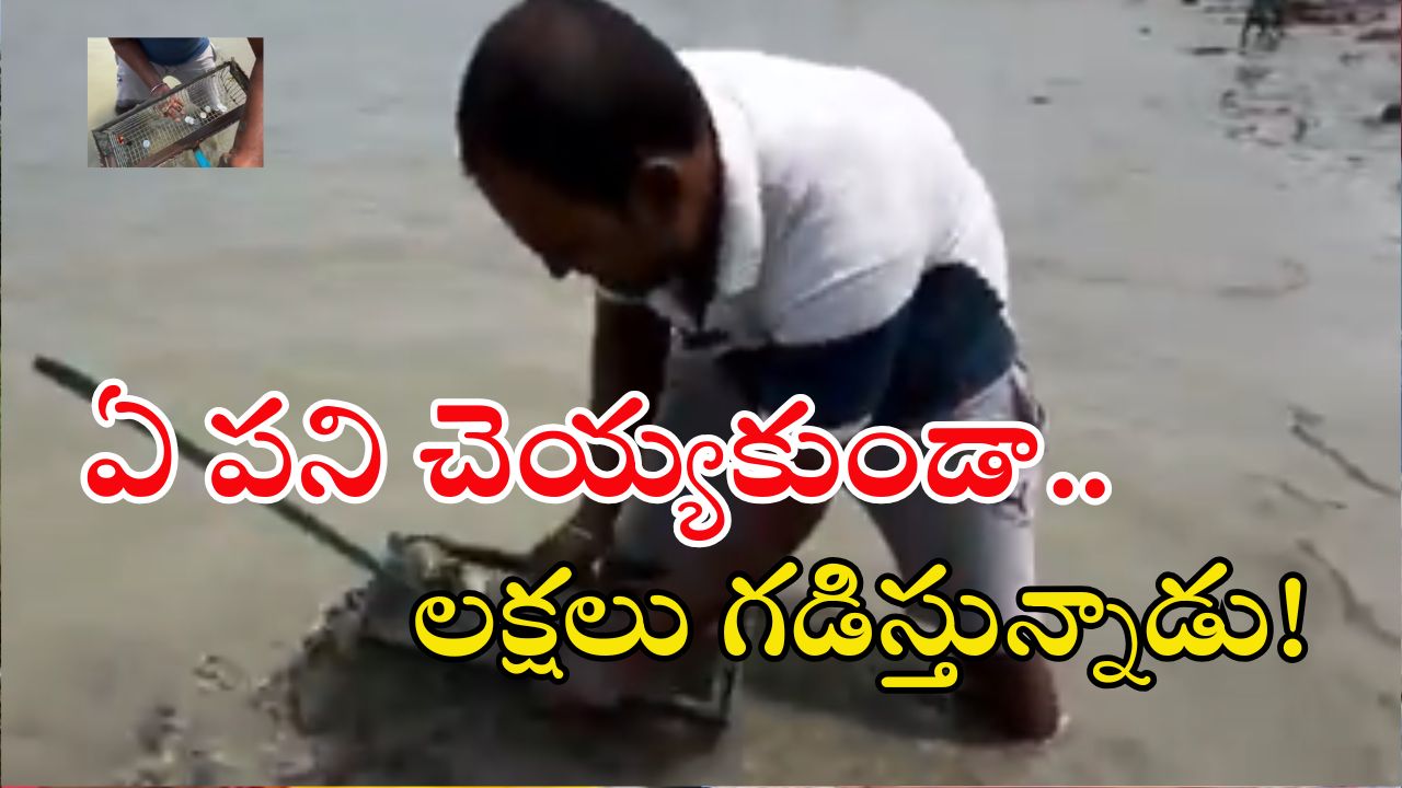 Watch Video: డైలీ గంగా నదికి వెళ్తాడు.. కాసులతో తిరిగొస్తాడు, ఏం బుర్ర బ్రో నీది!