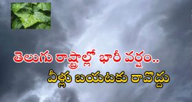 Viral Video : జెర్రిపోతును మింగిన నాగు పాము.. స్నేక్ ఫైటింగ్.. వీడియో వైరల్