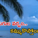 Weather News: రెండు తెలుగు రాష్ట్రాలకు భారీ వర్షాలు.. ఉరుములు, పిడుగులతో కూడిన వర్షం.. బయటకు రావొద్దు