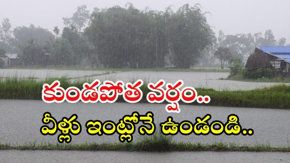Weather News: రాష్ట్రంలో కుండపోత వర్షం.. ఈ జిల్లాల ప్రజలు జాగ్రత్త, బయటకు వెళ్లొద్దు