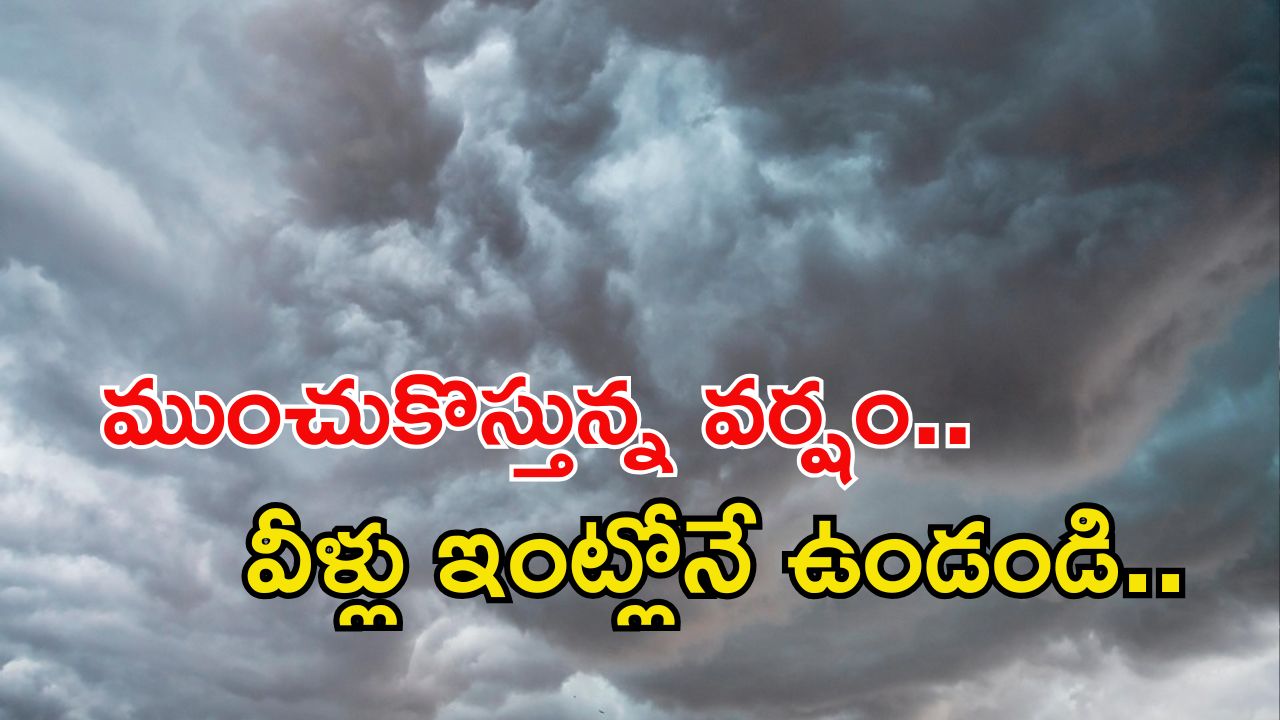Weather Update: రాష్ట్రంలో భారీ వర్షం.. ఉరుములు, మెరుపులతో వానలు, ఈ జిల్లాల వారు జాగ్రత్త!