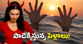Crime News : మరో భర్త బలి.. ఈసారి నదిలోకి తోసేసి..