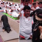 Viral Video : యోగా చేసిన కుక్క.. అరే భలే ఉందే.. వీడియో వైరల్
