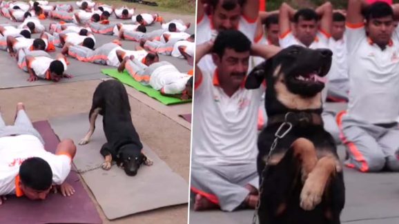 Viral Video : యోగా చేసిన కుక్క.. అరే భలే ఉందే.. వీడియో వైరల్