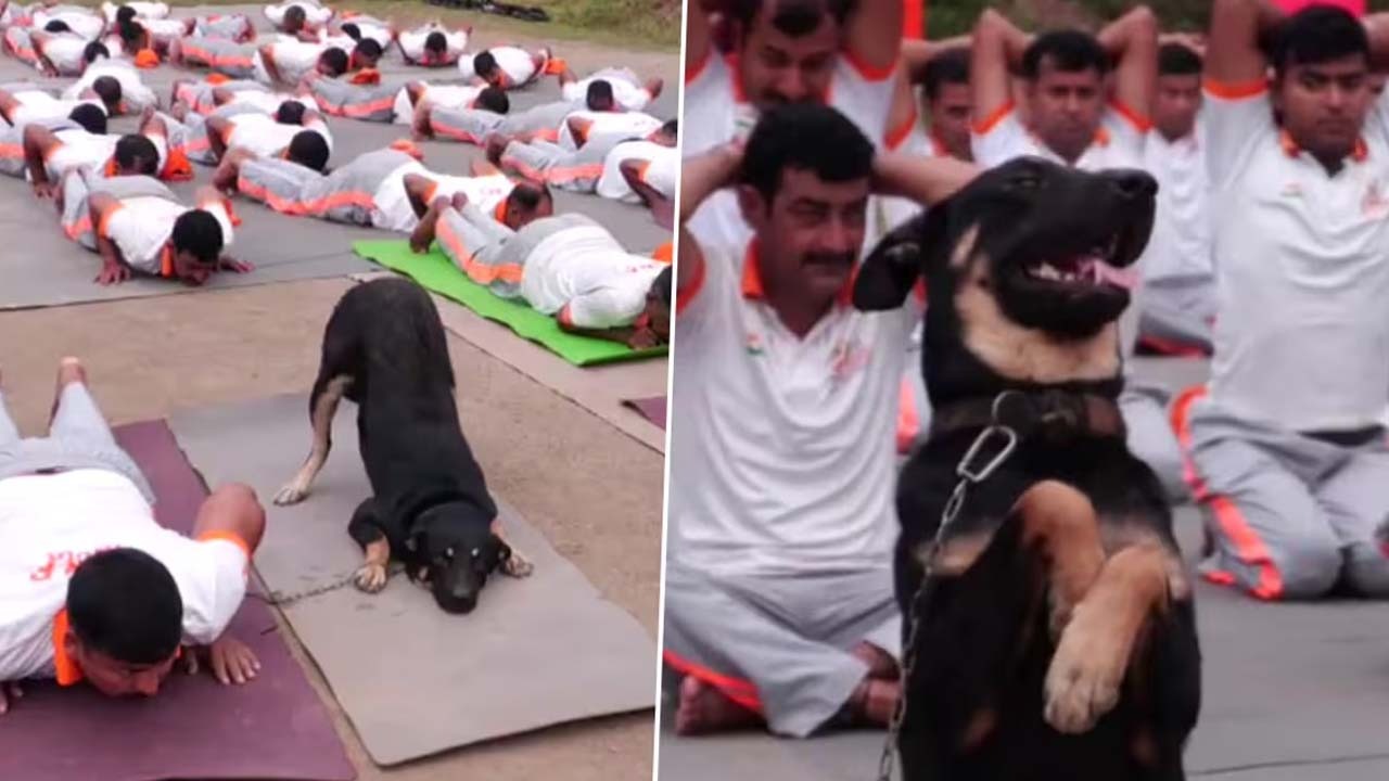 Viral Video : యోగా చేసిన కుక్క.. అరే భలే ఉందే.. వీడియో వైరల్