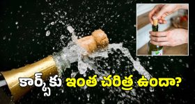 RCB after IPL trophy: RCB కప్ గెలవడం ఏమో కానీ.. ఇన్ని దరిద్రాలు చుట్టుకున్నాయా