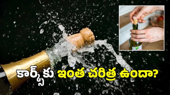 Wine cork: కొన్ని వైన్ సీసాలకు మూతలకు బదులుగా కార్కులను ఎందుకు ఉపయోగిస్తారు?