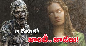 Zombies : జాంబీ ఫంగస్ నిజంగానే ఉందట.. అది సోకితే? ఆధారాలు బయటపెట్టిన శాస్త్రవేత్తలు