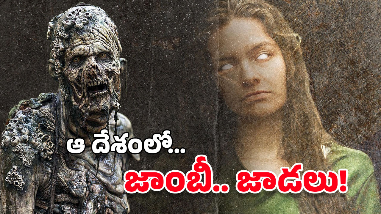 Zombies : జాంబీ ఫంగస్ నిజంగానే ఉందట.. అది సోకితే? ఆధారాలు బయటపెట్టిన శాస్త్రవేత్తలు