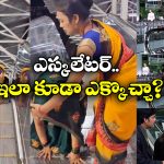 Viral Video: అరే ఇలా ఎక్కాలని తెలియక.. మేం మామూలుగా ఎక్కేస్తున్నామే!