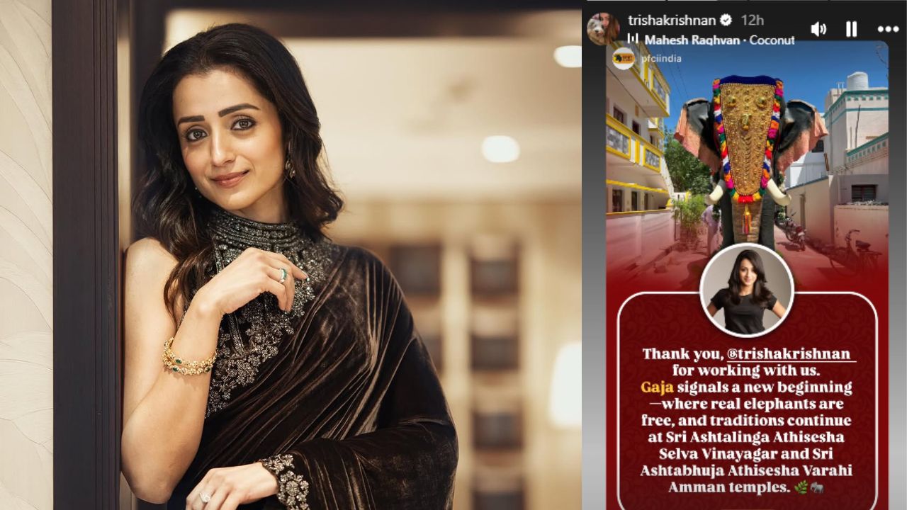 Trisha Krishnan: ఆలయానికి త్రిష భారీ బహుమతి.. ఏంటో తెలిస్తే షాక్!