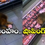Viral Video: మాల్‌ లో మృగరాజు.. అది పట్టుకుని పండగ చేసుకుందిగా.. నిజమేనా బ్రో?