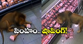 Akhanda 2: ఊహించని రీతిలో అఖండ 2 బిజినెస్.. డబుల్ హ్యాట్రిక్ గ్యారంటీ!
