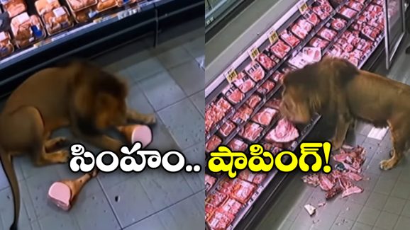 Viral Video: మాల్‌ లో మృగరాజు.. అది పట్టుకుని పండగ చేసుకుందిగా.. నిజమేనా బ్రో?