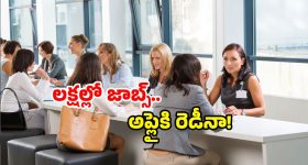 AP Jobs 2025: ఏపీలో భారీ సంఖ్యలో జాబ్స్.. వలసలు ఎందుకు? ఇక సిద్ధం కండి!