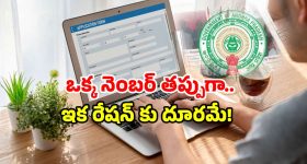 New virus In China: చావు కబురు చల్లగా చెప్పిన చైనా.. గబ్బిలం ద్వారా మరో వైరస్