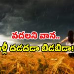 AP Weather update: ఏపీ ప్రజలకు అలర్ట్.. మరికొద్ది గంటల్లో దంచుడే..
