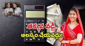 Dwacra Womens Schemes: ఏపీలో బంపర్ ఆఫర్.. వడ్డీ తగ్గించి మరీ రుణాలు.. డోంట్ మిస్ దిస్ ఛాన్స్!