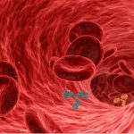 Reduce cholesterol:  శరీరంలో ఉన్న కొలెస్ట్రాల్ తగ్గించడానికి సింపుల్ ఆయుర్వేద చిట్కాలు ఇవిగో
