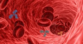 Knee Pain: మోకాళ్ల నొప్పులతో బాధపడుతున్నారా ? వీటితో.. వెంటనే పెయిన్ రిలీఫ్