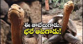 virat Kohli : ఆ బాలీవుడ్ హీరోయిన్ ఇంటికి టీమిండియా ప్లేయర్లు.. రాత్రంతా చిందులు వేస్తూ రచ్చ ?