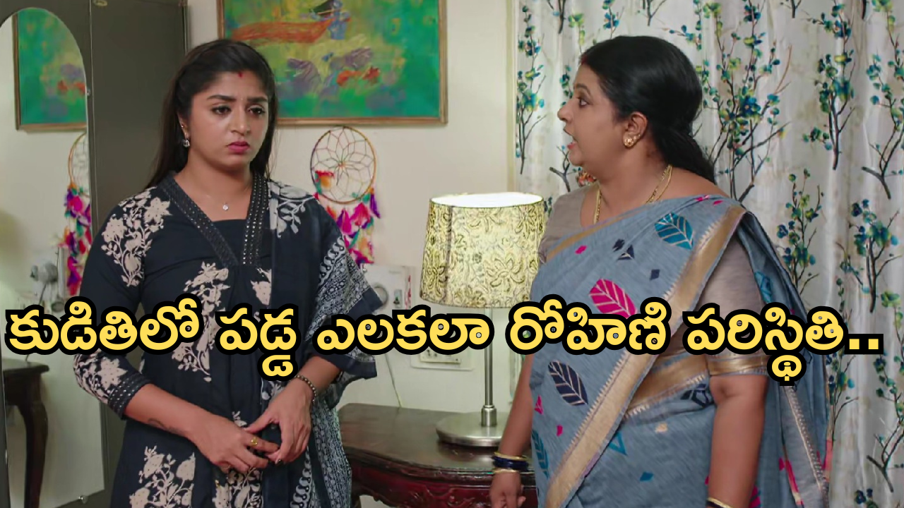 Gundeninda GudiGantalu Today episode: రోహిణిని ఇరికించిన బాలు.. ప్రభావతి స్ట్రాంగ్ వార్నింగ్.. ఇరుక్కుందిగా..?