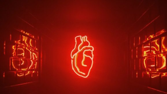 Heart Disease: గుండెను రాయిలా మార్చే జబ్బు గురించి విన్నారా? ఏటా లక్షల మంది దీని వల్లే మరణిస్తున్నారు