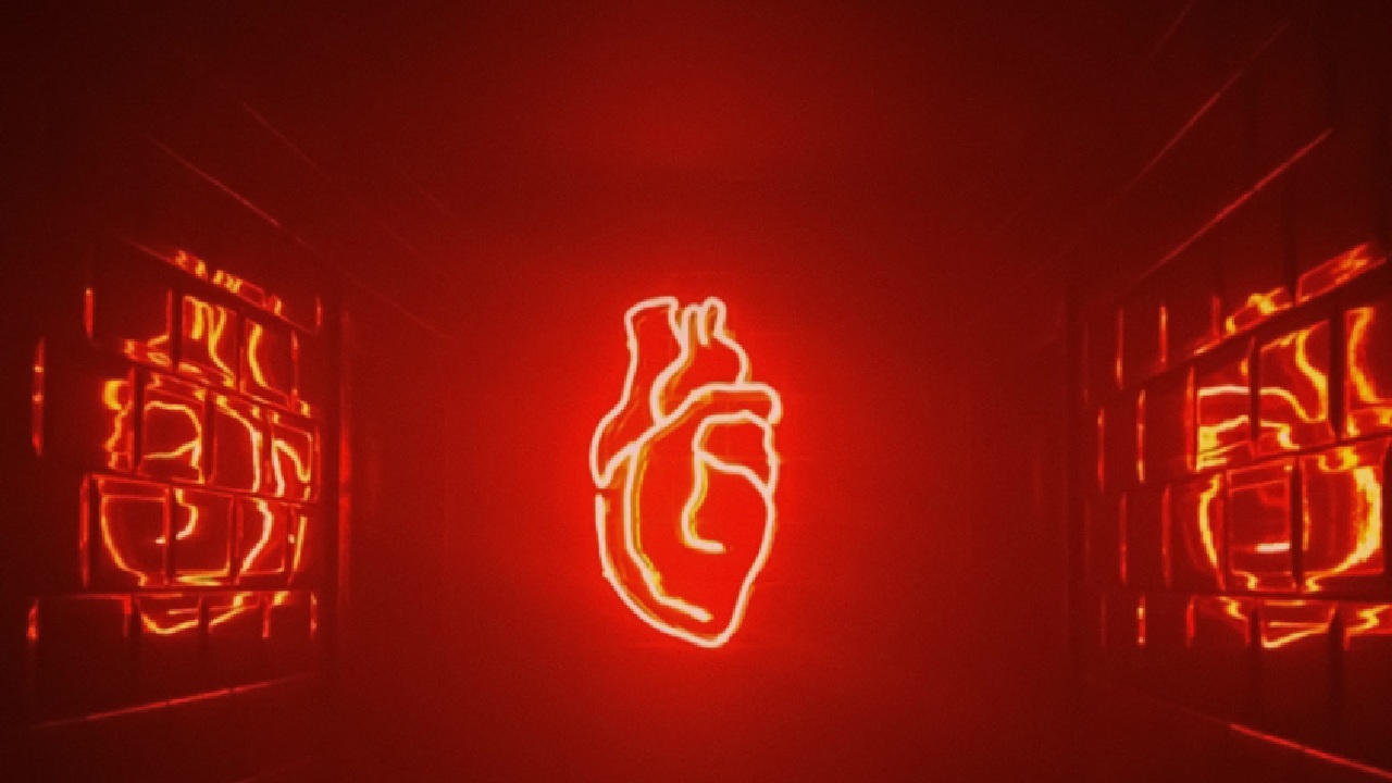 Heart Disease: గుండెను రాయిలా మార్చే జబ్బు గురించి విన్నారా? ఏటా లక్షల మంది దీని వల్లే మరణిస్తున్నారు