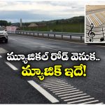 Musical Roads: ఈ రోడ్ల నుంచి సంగీతం వస్తుంది.. ఈ టెక్నాలజీకి సలాం కొట్టాల్సిందే!