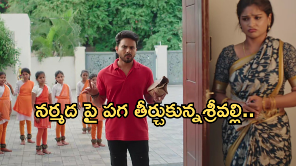 Illu Illalu Pillalu Today Episode: ప్రేమను అడ్డంగా ఇరికించిన శ్రీవల్లి.. నర్మదపై రామరాజు సీరియస్..