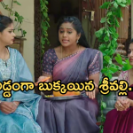 Illu Illalu Pillalu Today Episode: నర్మద కోసం వేదవతి షాకింగ్ నిర్ణయం.. అడ్డంగా బుక్కయిన శ్రీవల్లి..