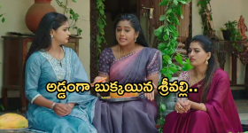 Illu Illalu Pillalu Today Episode: నర్మద కోసం వేదవతి షాకింగ్ నిర్ణయం.. అడ్డంగా బుక్కయిన శ్రీవల్లి..