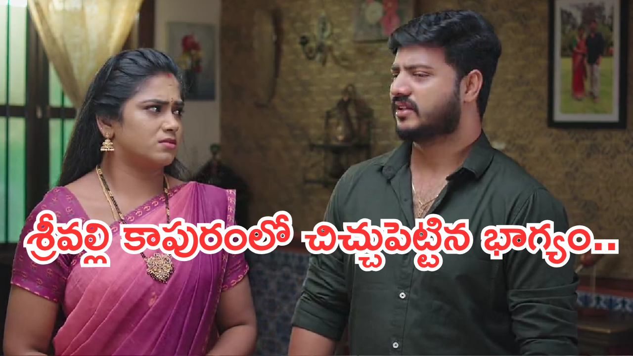 Illu Illalu Pillalu Today Episode: నర్మదకు అడ్డంగా దొరికిన ప్రేమ.. చందుకు దూరం అవుతున్న శ్రీవల్లి..