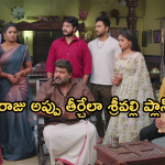 Illu Illalu Pillalu Today Episode: తోడికోడళ్ళతో గొడవకు దిగిన శ్రీవల్లి.. ధీరజ్ కోసం ప్రేమ ఎదురుచూపులు..