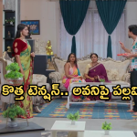Intinti Ramayanam Today Episode: పల్లవికి దిమ్మతిరిగే షాక్.. అక్షయ్ పవర్ ను లాగేసుకున్న అవని.. పార్వతికి మరో టెన్షన్..