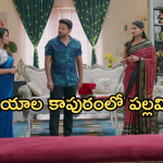 Intinti Ramayanam Today Episode: పల్లవికి షాకివ్వబోతున్న అవని.. నిజం తెలుసుకున్న శ్రీకర్..