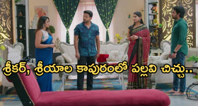 Intinti Ramayanam Today Episode: పల్లవికి షాకివ్వబోతున్న అవని.. నిజం తెలుసుకున్న శ్రీకర్..